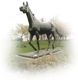 Estatua dedicada a RED RUM.