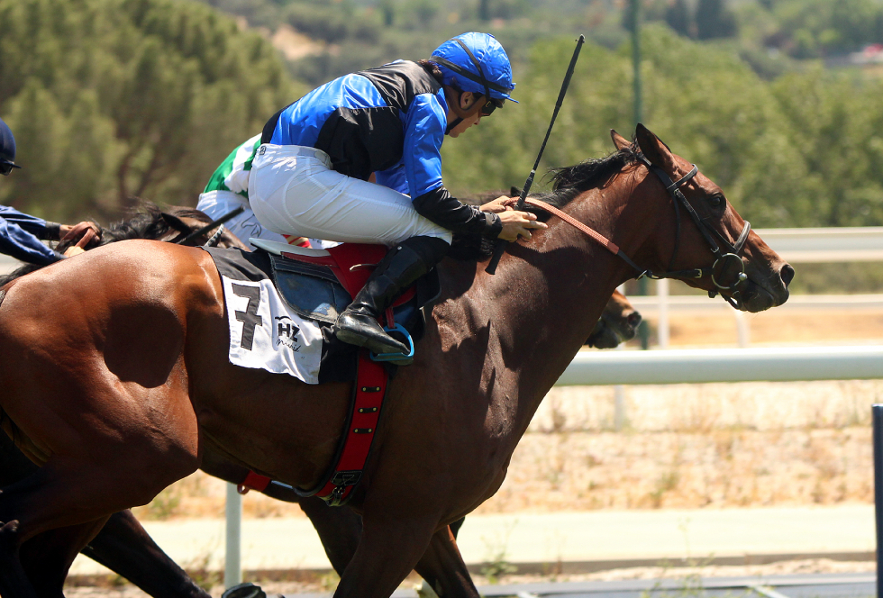 Putumayo (J.Gelabert) inesperado ganador del Rheffissimo. Foto: A Galopar Putumayo. Foto: