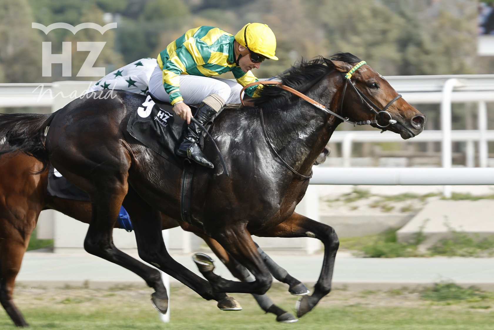 SKYTREE (S.Donohoe) no dio opción a sus rivales en el Antonio Blasco Foto: HZ SKYTREE. Foto:
