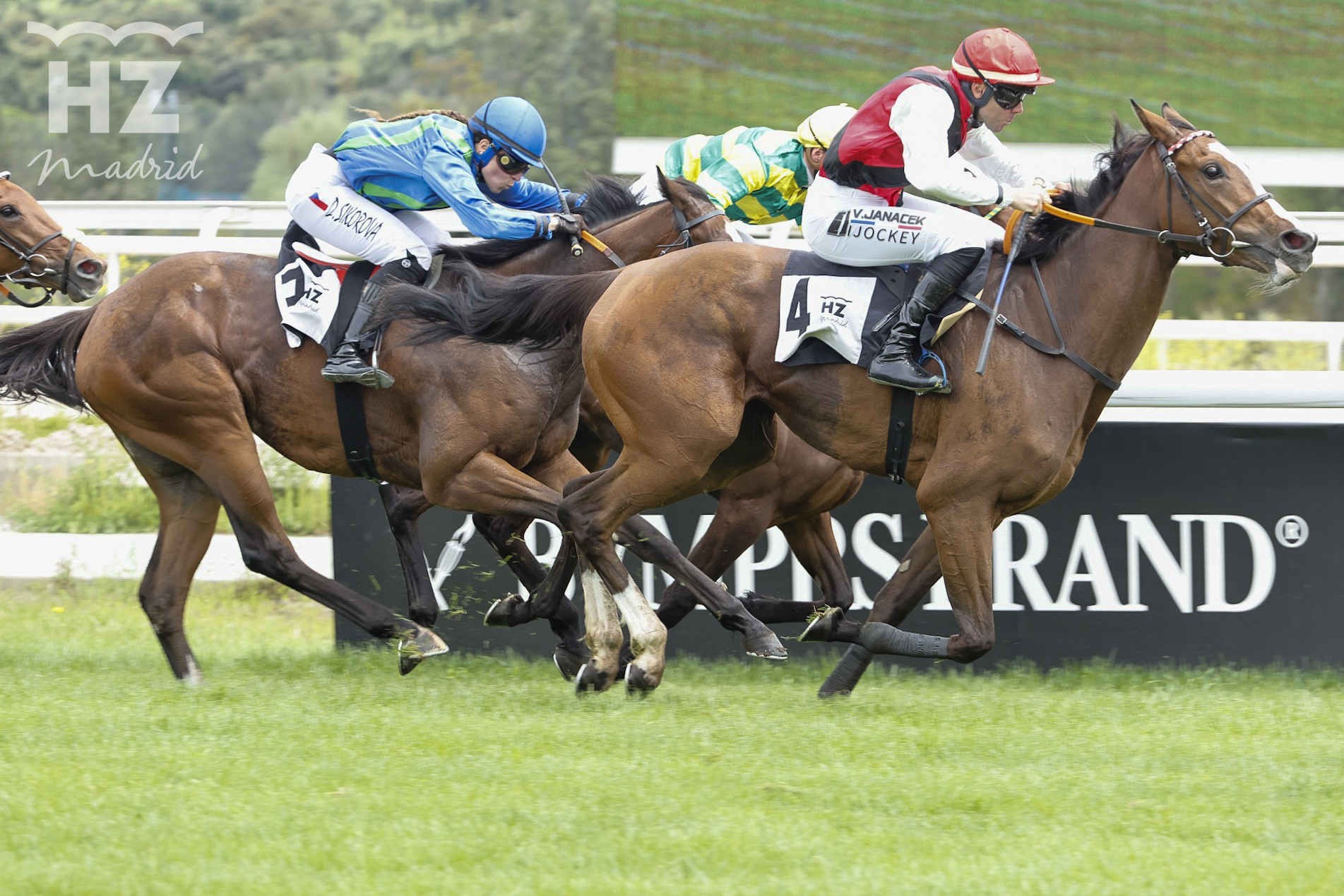 CERVINIA (V.Janacek) salió de perdedora en el premio Howden. Foto: HZ CERVINIA. Foto: