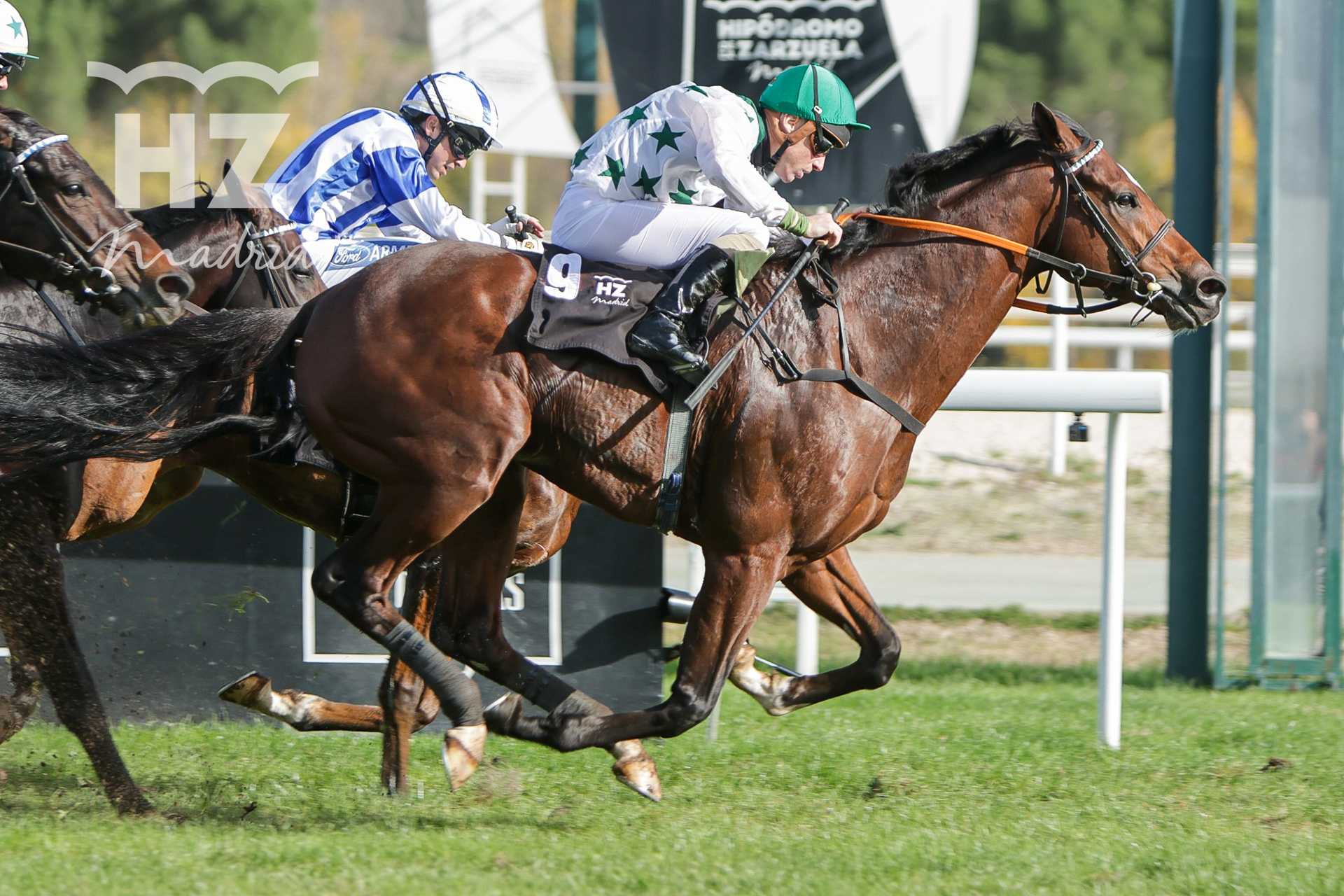 TETUAN (S.Donohoe) supera a SABROSO (J.Gelabert) Foto: HZ TETUAN. Foto: