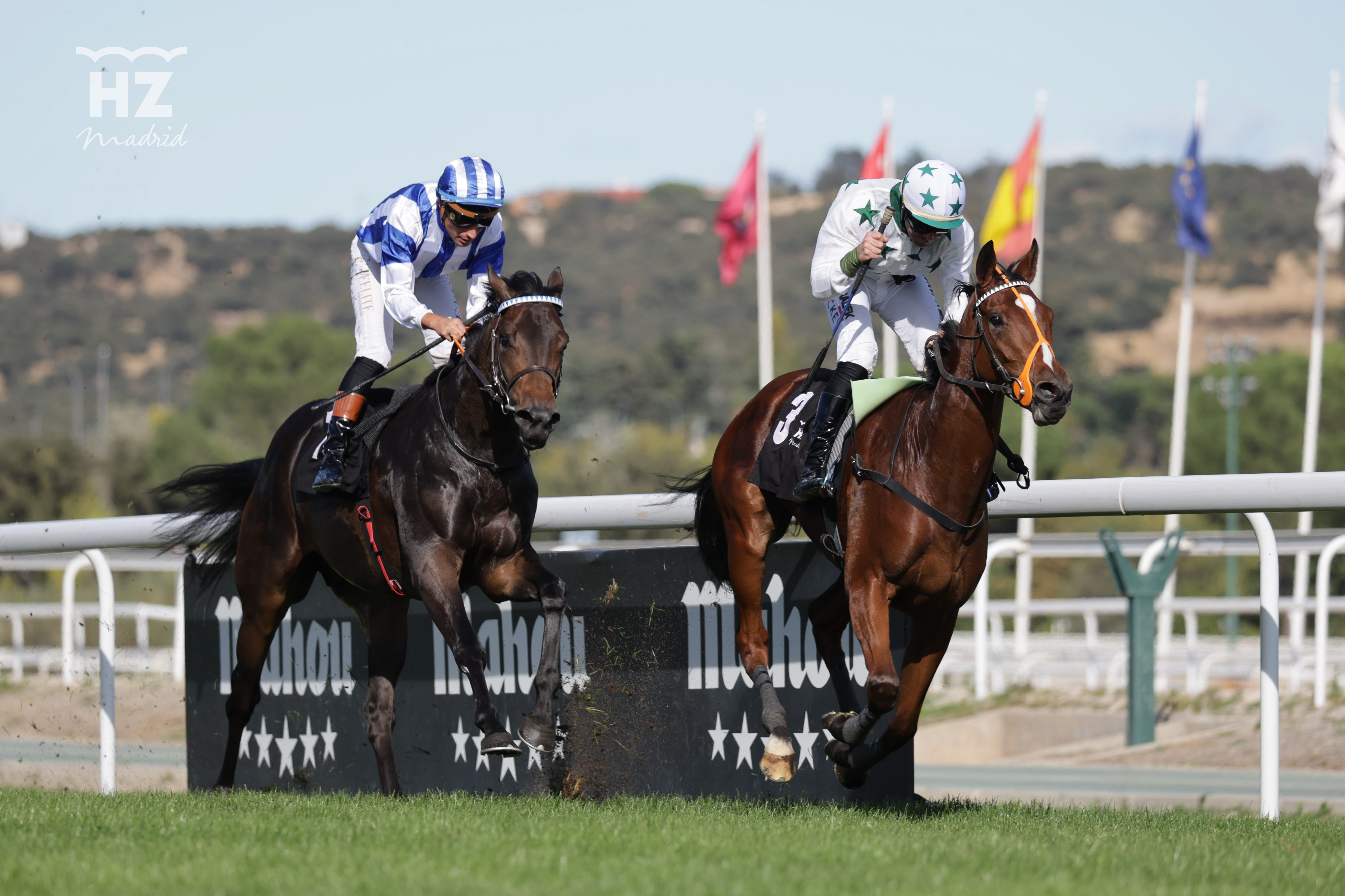ARZUA (V. Janacek) superó a ROMANTICON (R.Sousa) en la llegada del Gran Criterium. Foto: HZ ARZUA. Foto: