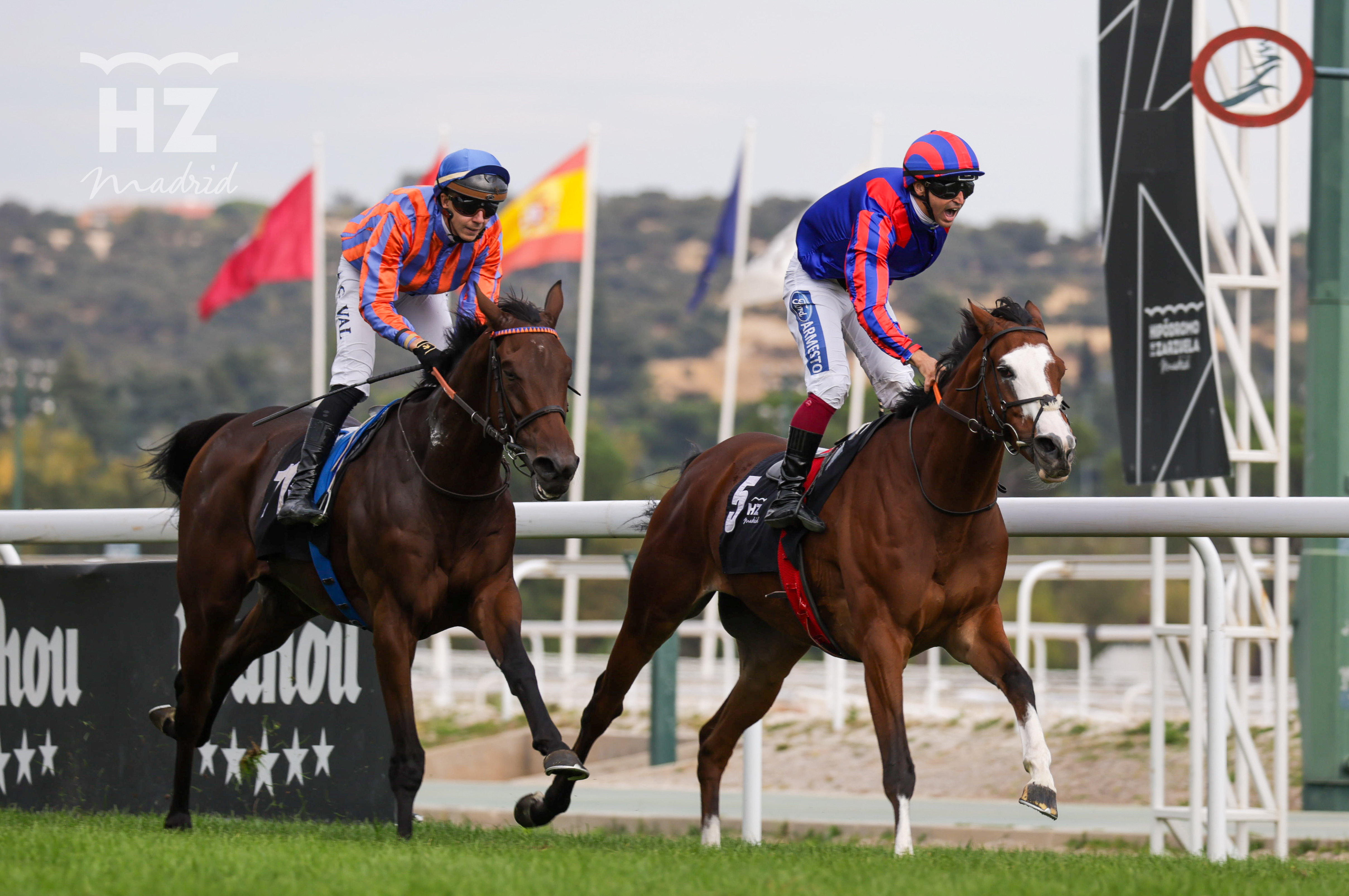 SIRJAN (J.Gelabert) repitió triunfo en el Memorial Duque de Toledo. Foto: HZ SIRJAN. Foto: