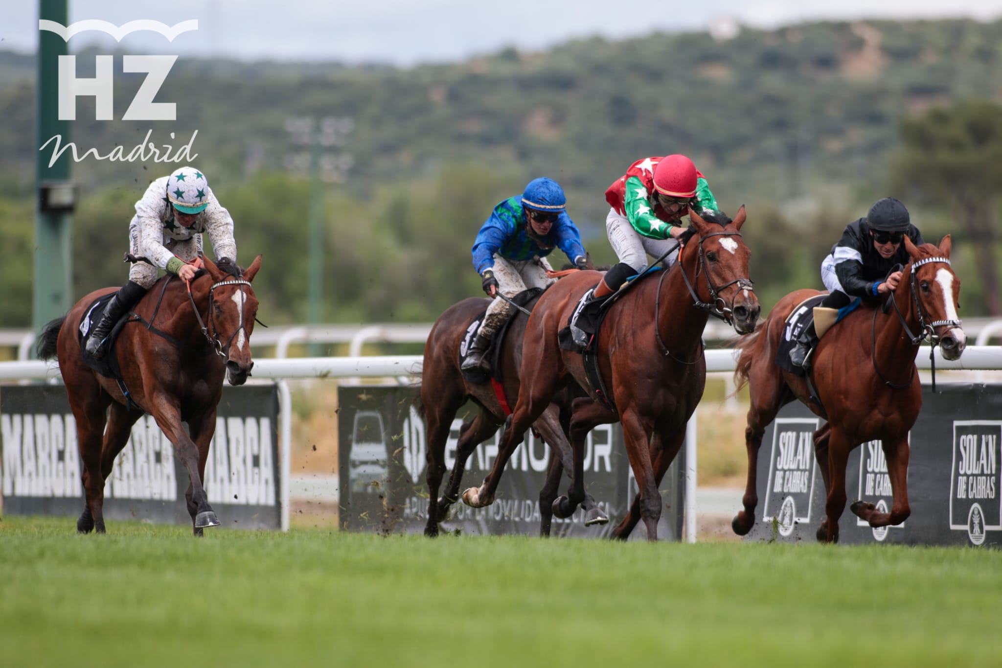 DRAGO (R.Sousa) se impuso en el Gran Premio Nacional 2026. Foto: HZ DRAGO. Foto: