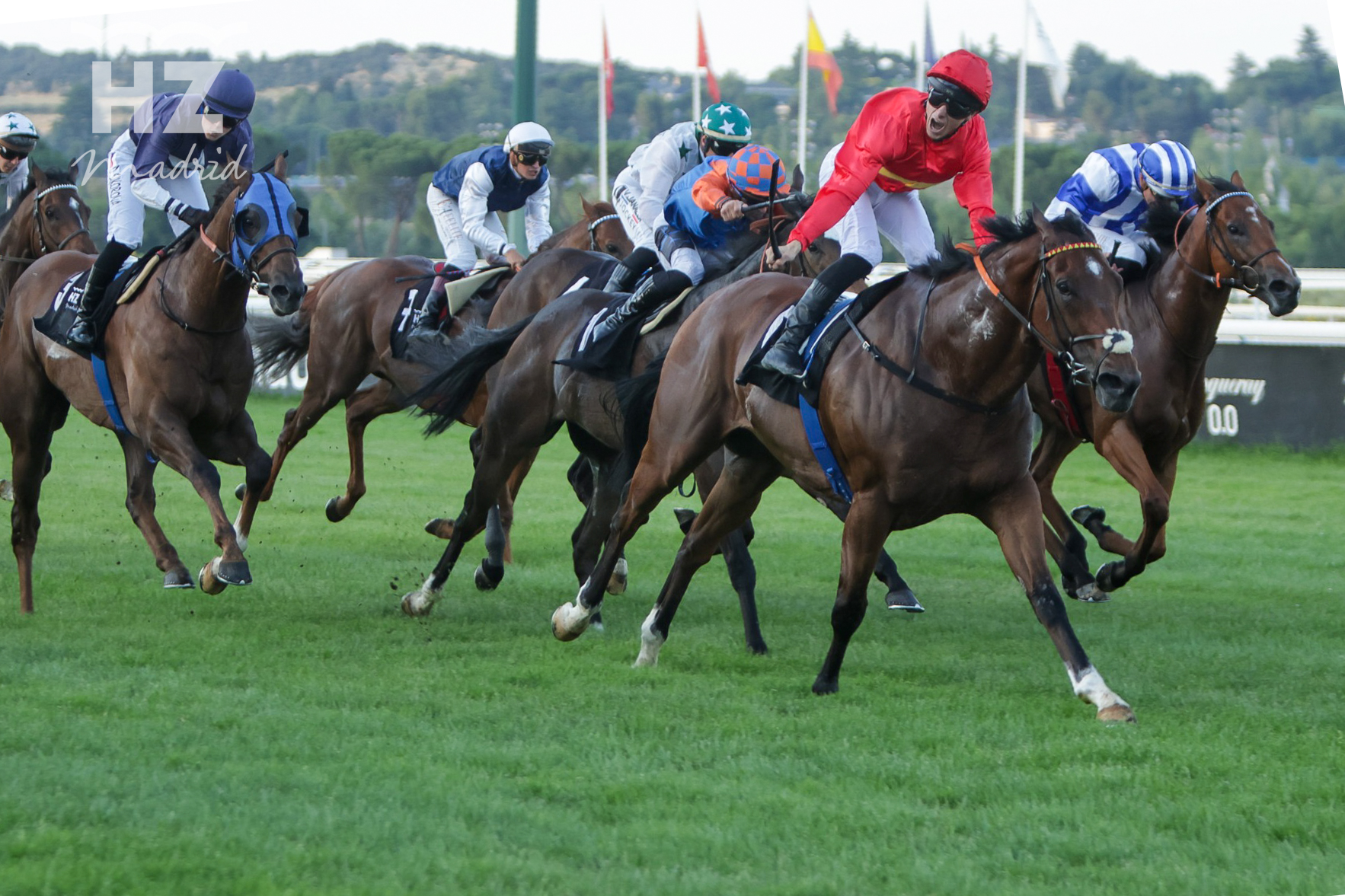 NOISY NIGHT (A.Werle) se impone en el Gran Premio Urquijo. Foto: HZ NOSIY. Foto: