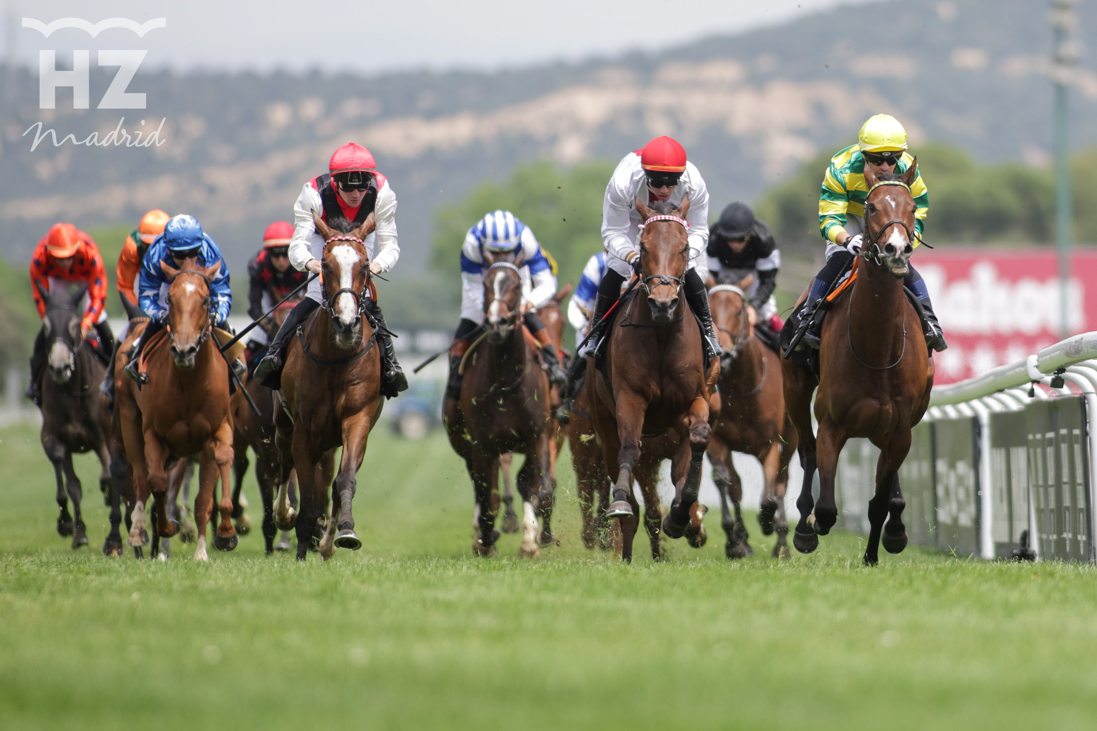 SWEET CAROLINE (S. de Sousa) no encontró rival en el premio Beamonte.. Foto: HZ SWEET CAROLINE. Foto: