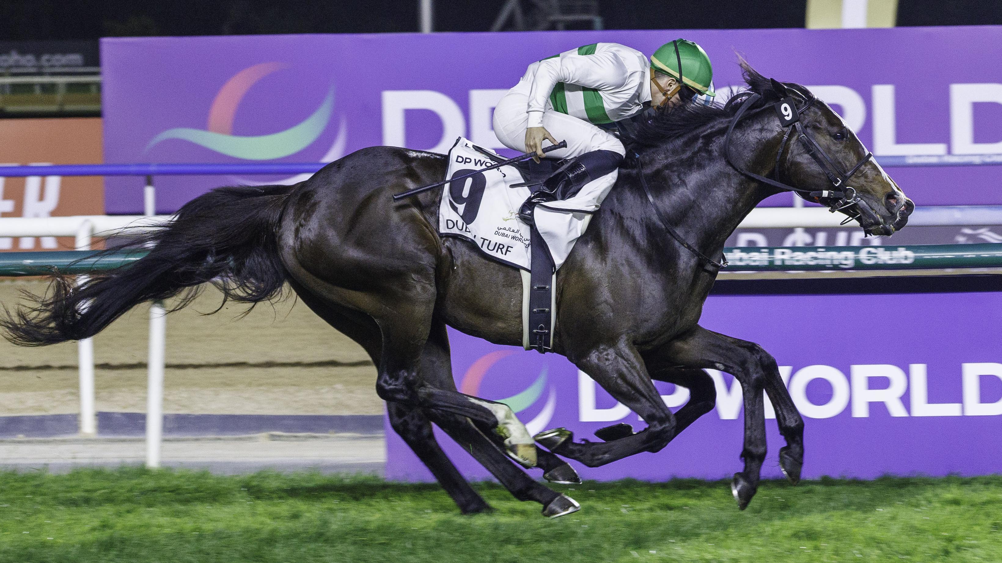Hit Show de cotizar 66/1 a ganar 11€ millones en la Dubai World Cup. Foto: Arabian Gulf Business