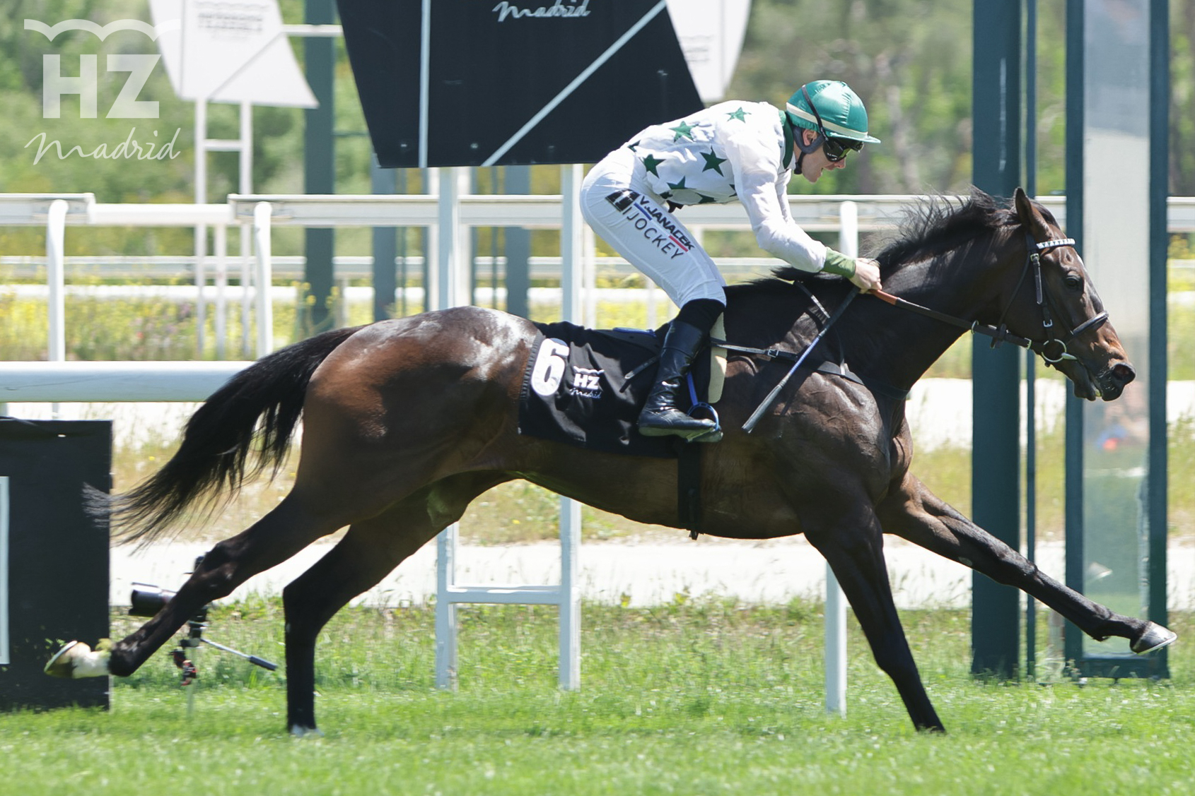 RONCAL (V.Janacek) no tuvo rival en el GP Nacional. Foto: HZ RONCAL. Foto: