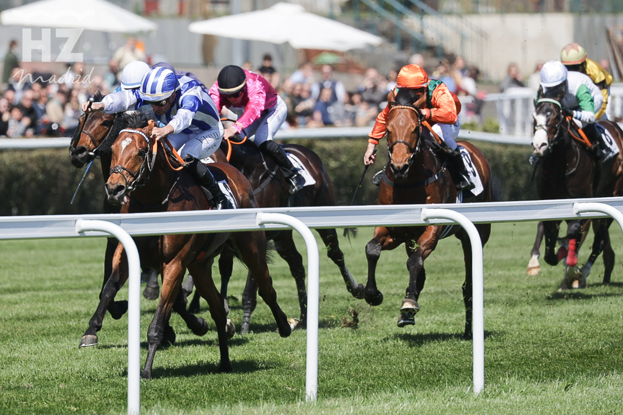 GOODMOOD (R.Sousa), no encontró rival en el premio Torre Arias. Foto: HZ GOODMOOD. Foto:<P>: