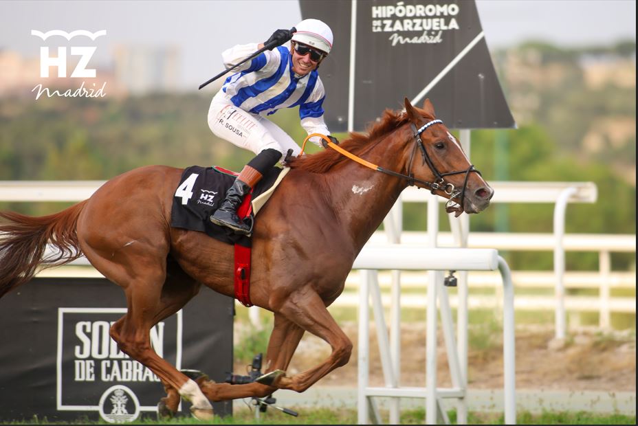 NAXOS (R.Sousa) se impuso de punta a punta en el Gran Premio Carudel. Foto: HZ NAXOS. Foto:
