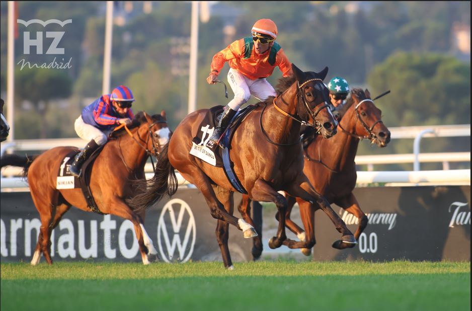 WAR OF DANCE (R.N.Valle) repitió triunfo en el Gran Premio de Madrid. Foto: HZ WAR OF DANCE. Foto: